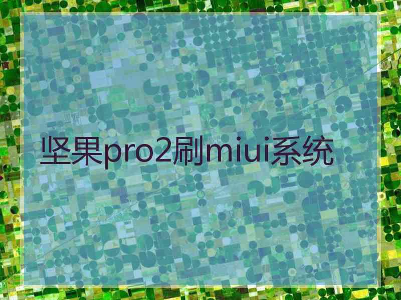 坚果pro2刷miui系统