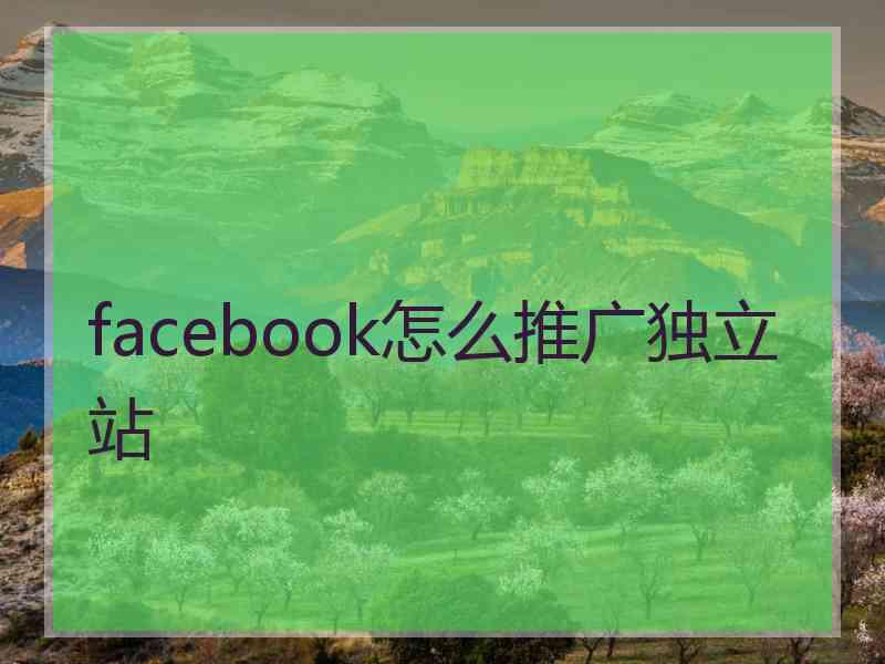 facebook怎么推广独立站
