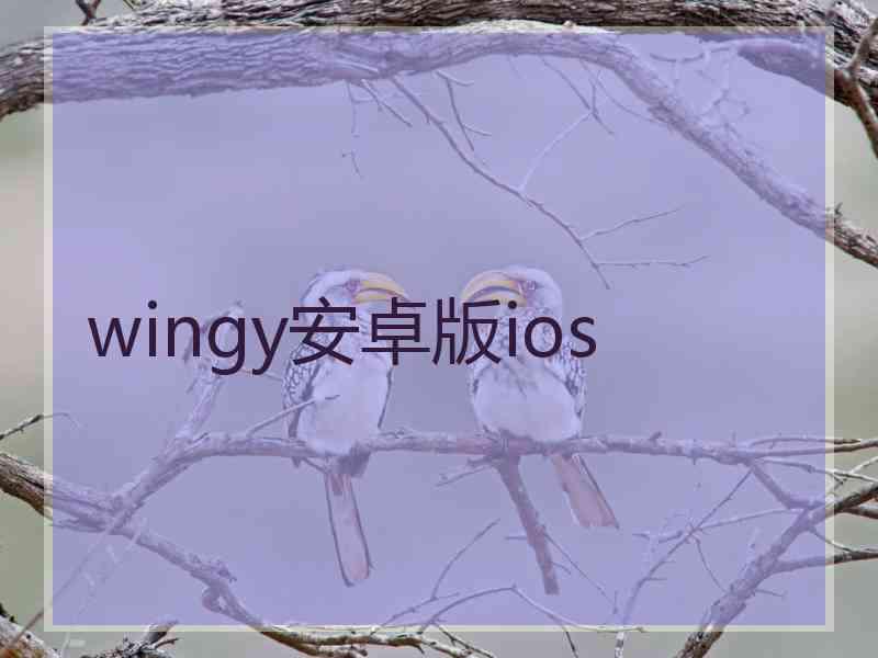 wingy安卓版ios