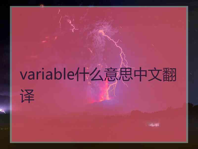 variable什么意思中文翻译