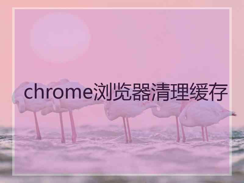 chrome浏览器清理缓存