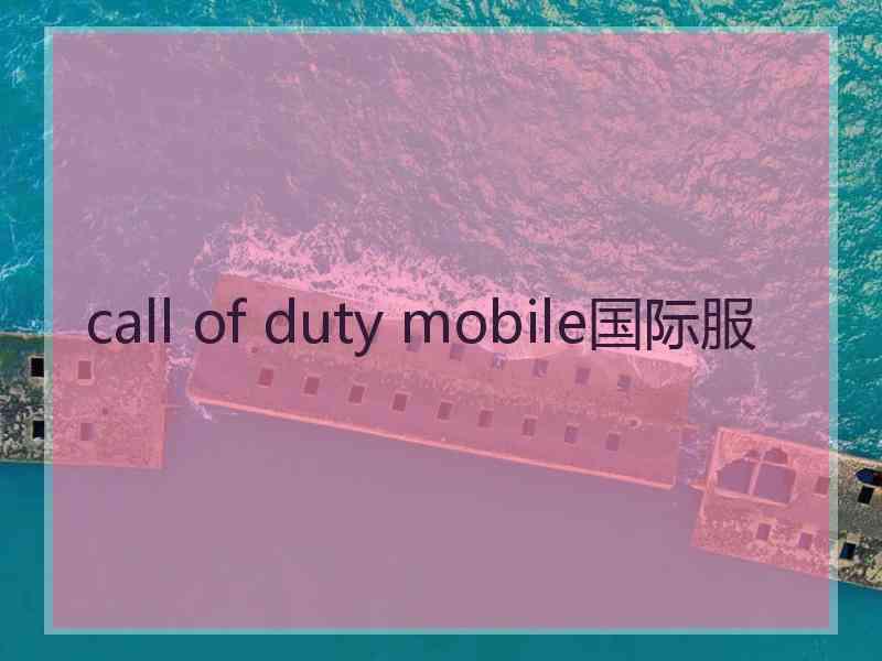 call of duty mobile国际服