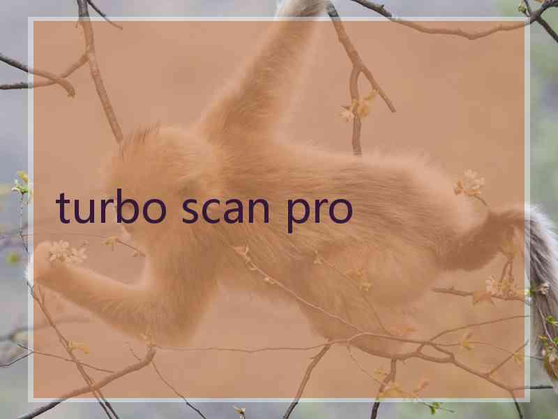 turbo scan pro