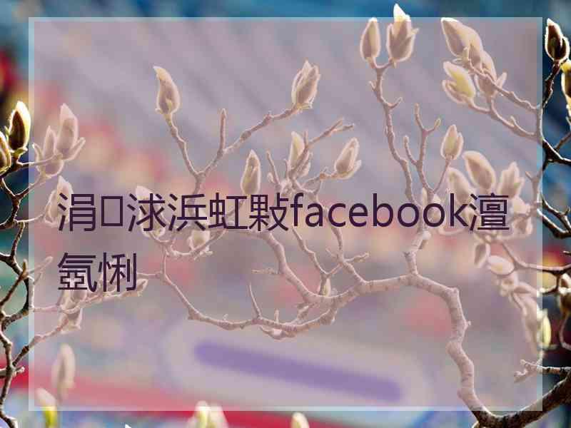 涓浗浜虹敤facebook澶氬悧