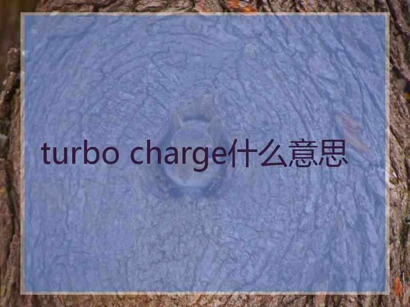 turbo charge什么意思