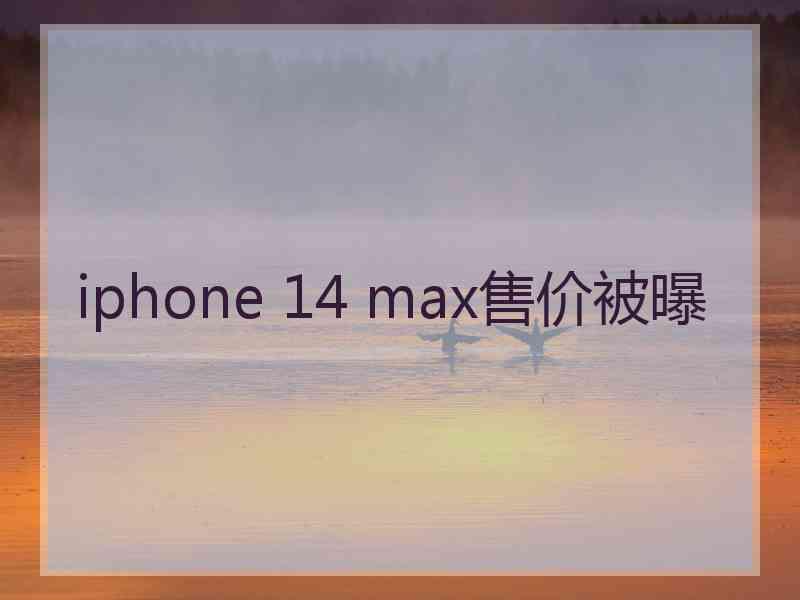 iphone 14 max售价被曝