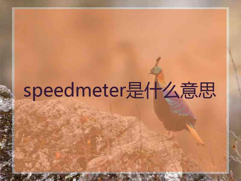 speedmeter是什么意思