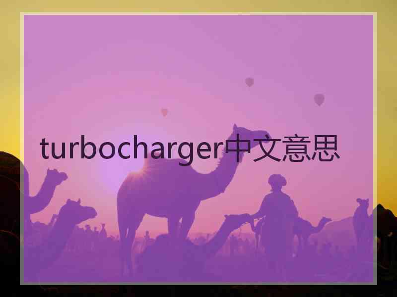 turbocharger中文意思
