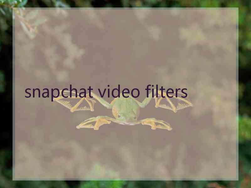 snapchat video filters