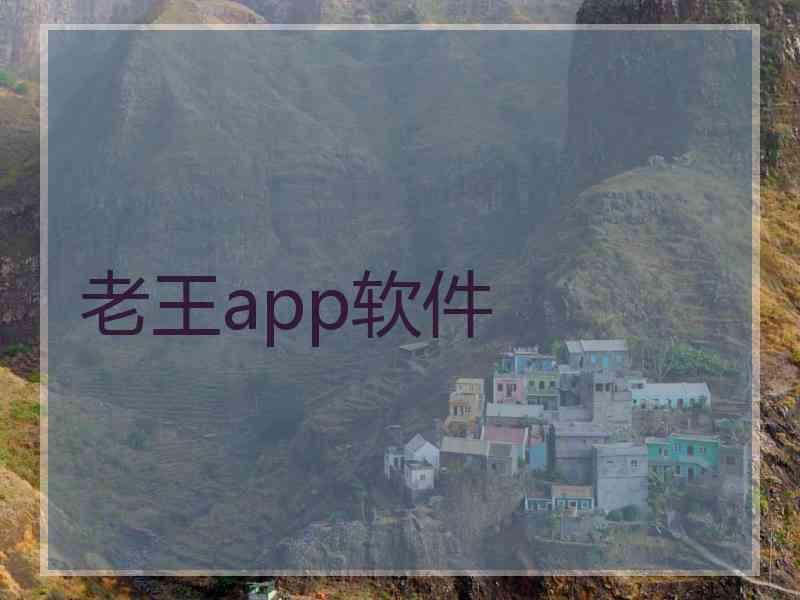老王app软件