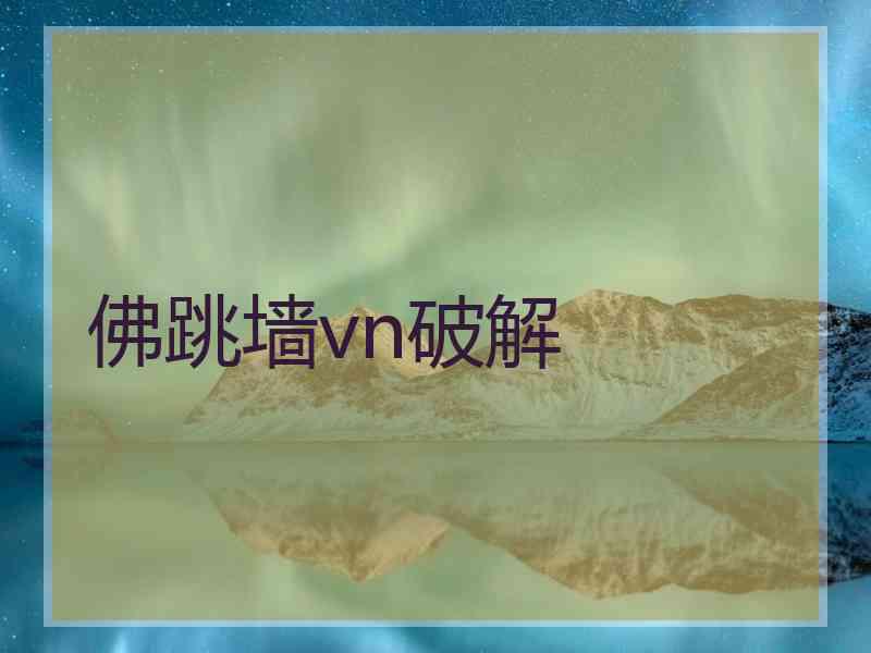 佛跳墙vn破解