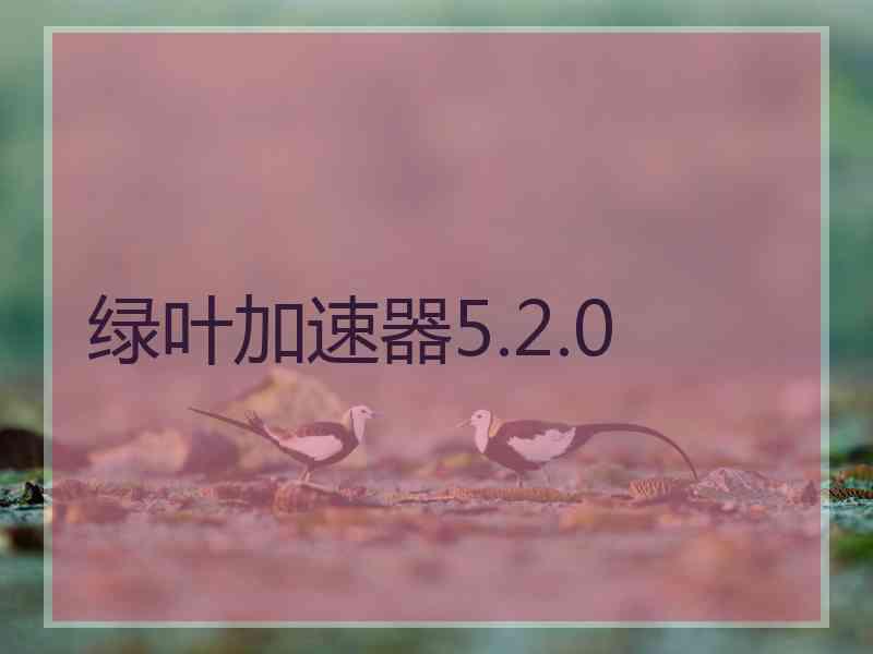 绿叶加速器5.2.0