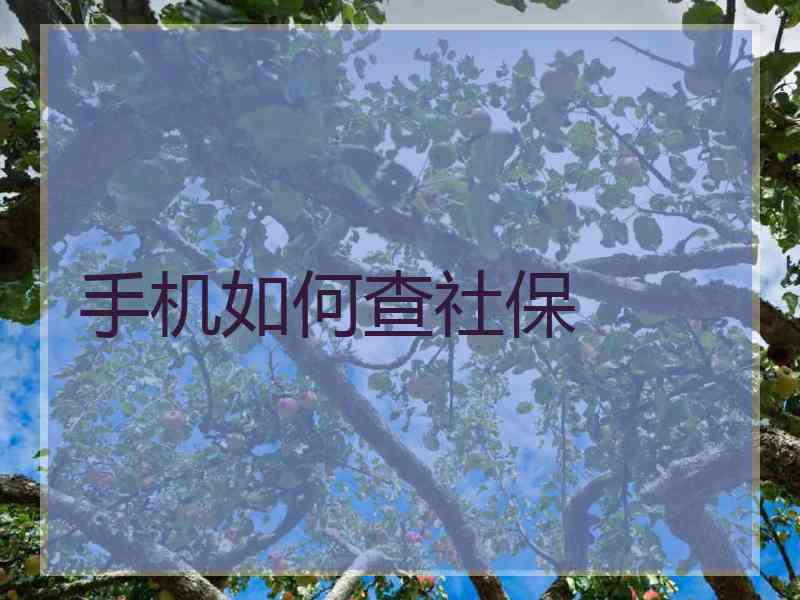 手机如何查社保