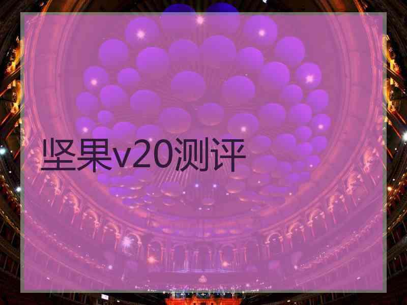 坚果v20测评