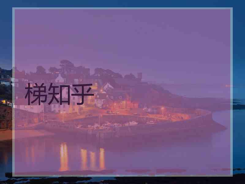 梯知乎