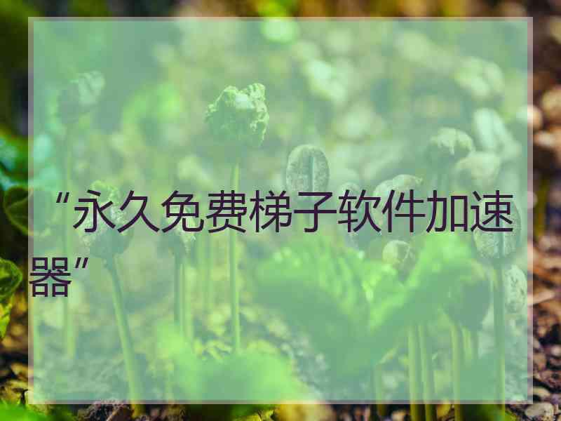 “永久免费梯子软件加速器”