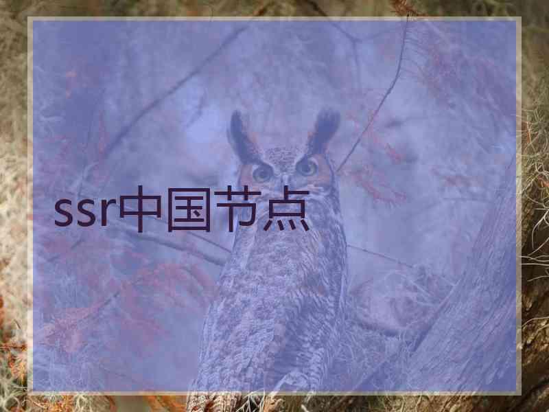 ssr中国节点