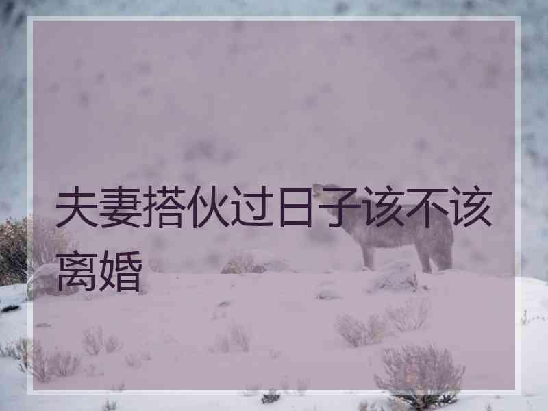 夫妻搭伙过日子该不该离婚