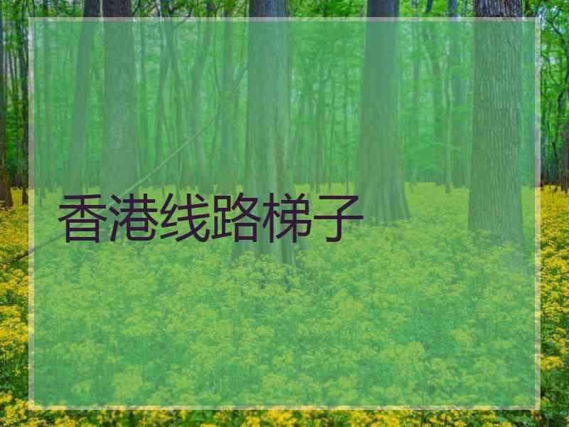 香港线路梯子