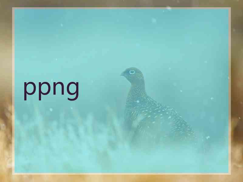 ppng