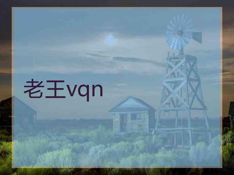 老王vqn
