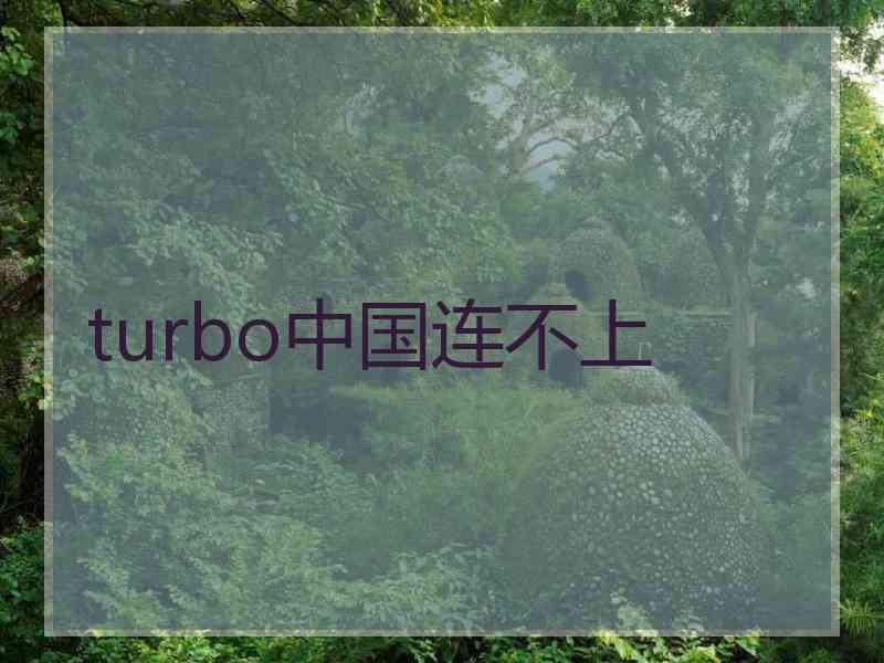 turbo中国连不上