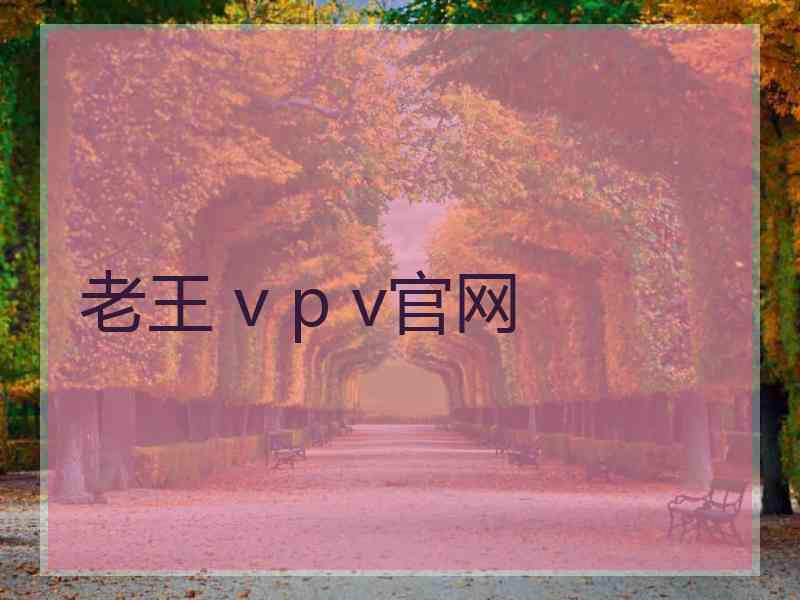 老王 v p v官网