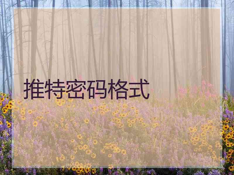 推特密码格式