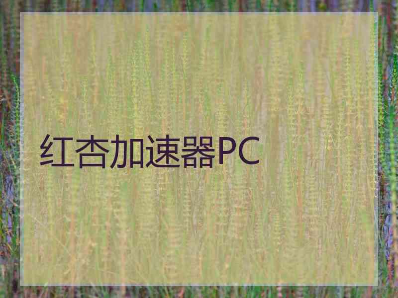 红杏加速器PC