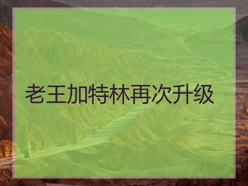 老王加特林再次升级