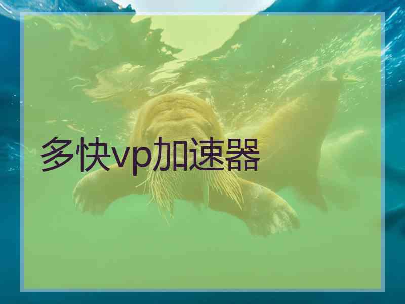 多快vp加速器