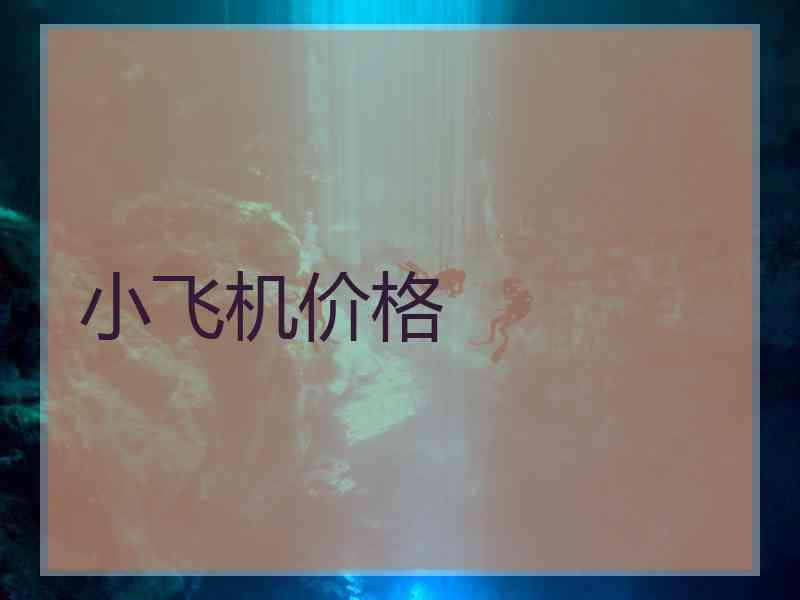 小飞机价格