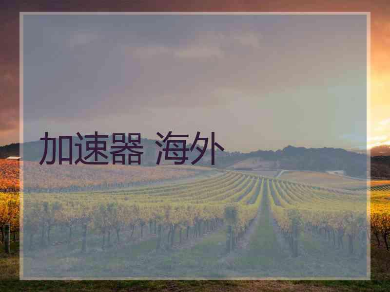 加速器 海外