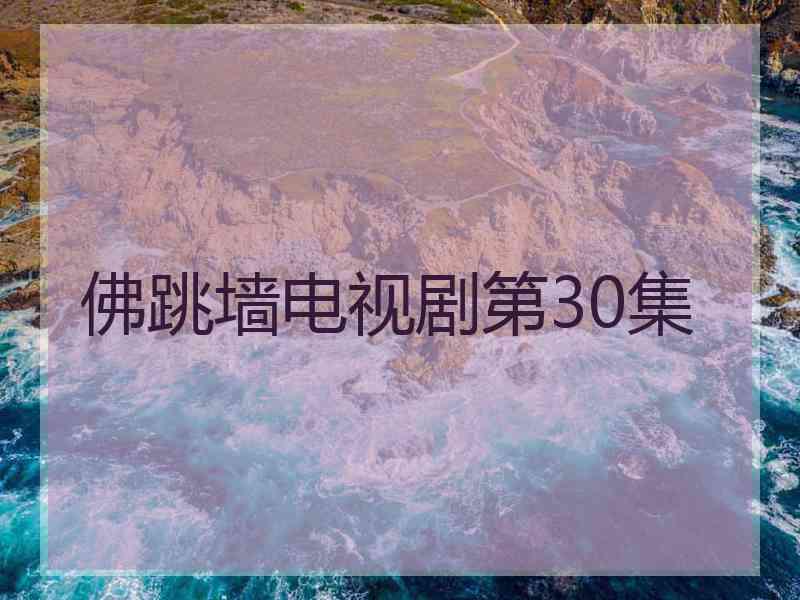 佛跳墙电视剧第30集
