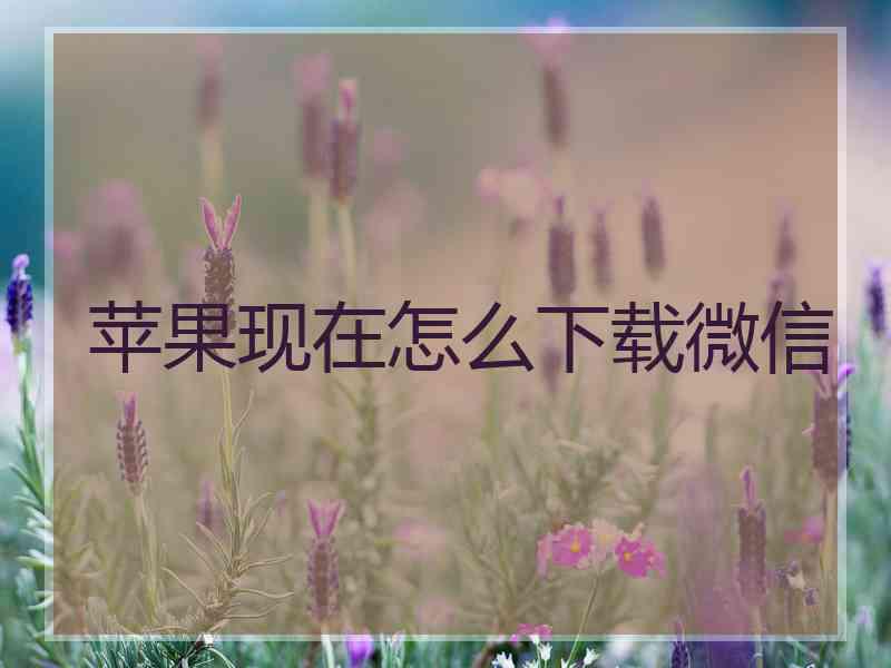 苹果现在怎么下载微信