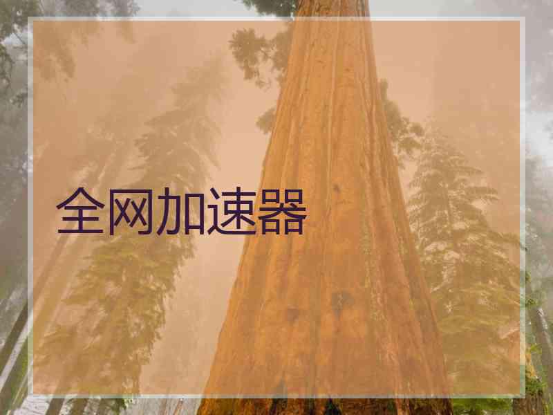 全网加速器