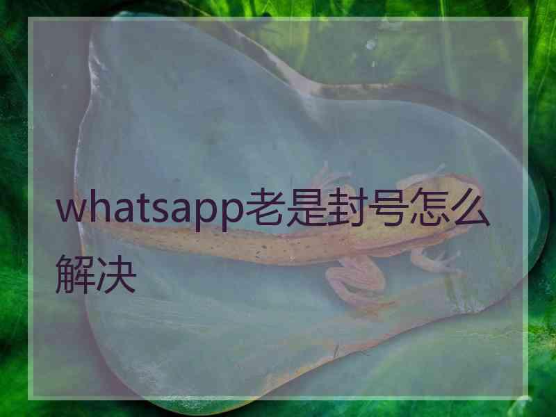 whatsapp老是封号怎么解决
