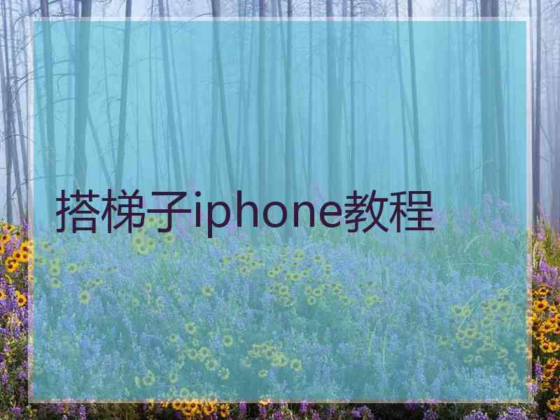 搭梯子iphone教程