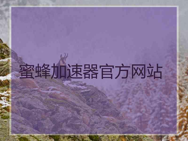 蜜蜂加速器官方网站