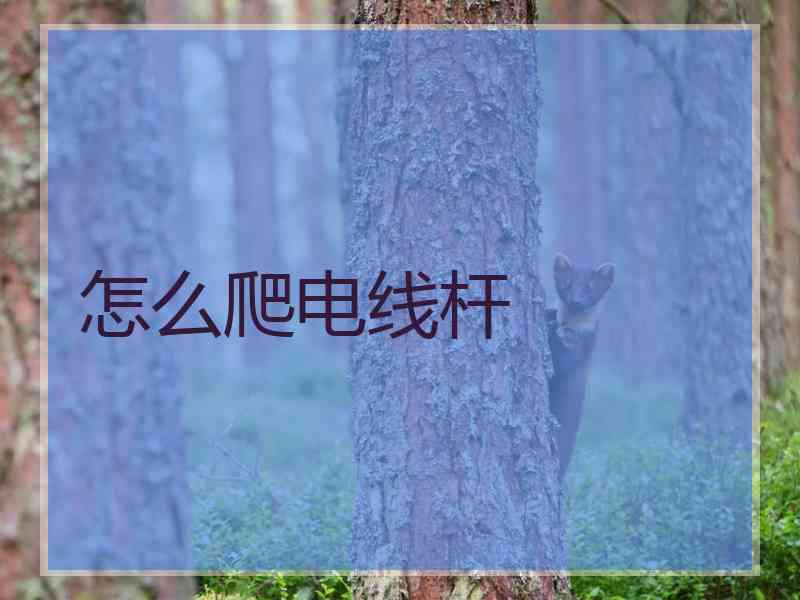 怎么爬电线杆