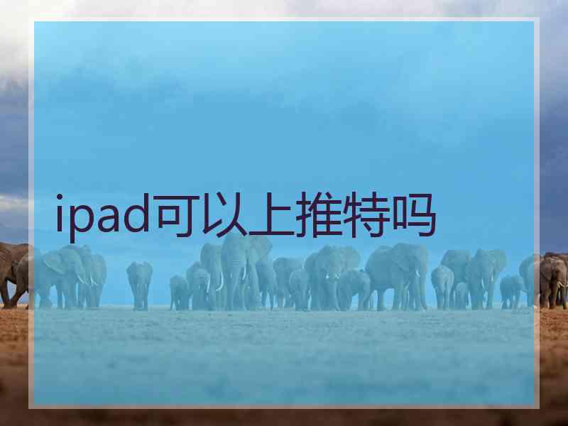 ipad可以上推特吗