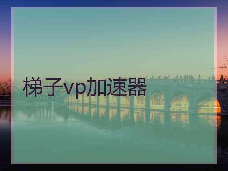 梯子vp加速器