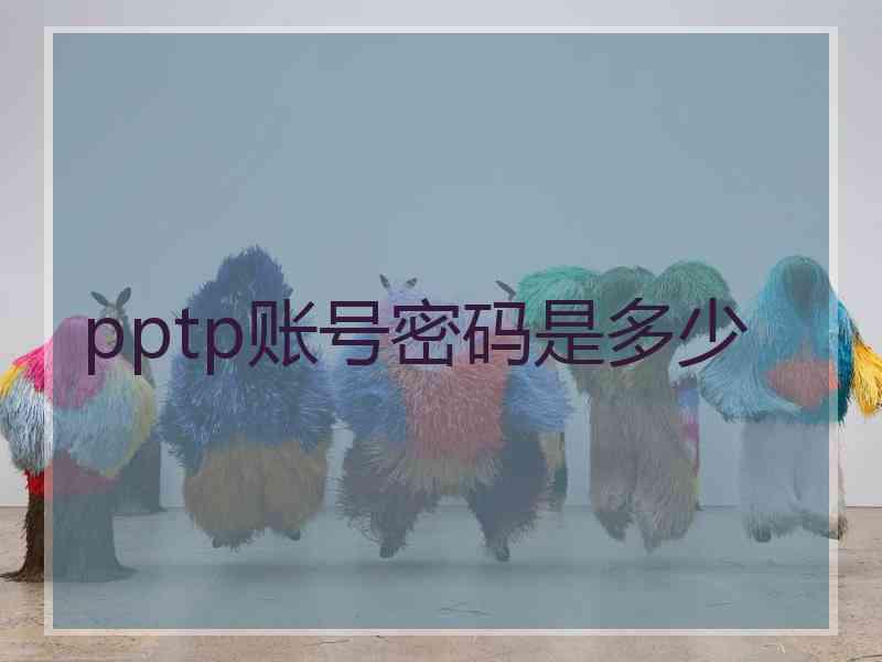 pptp账号密码是多少