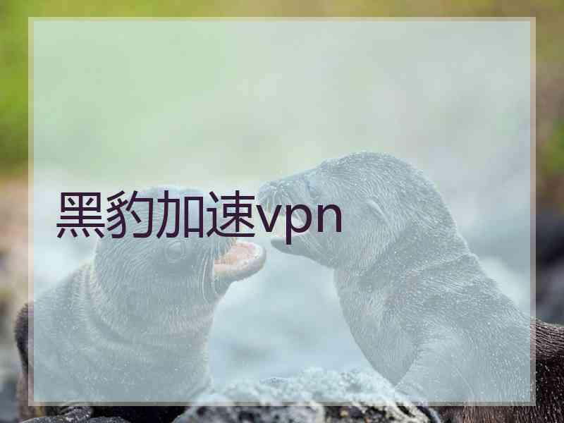 黑豹加速vpn