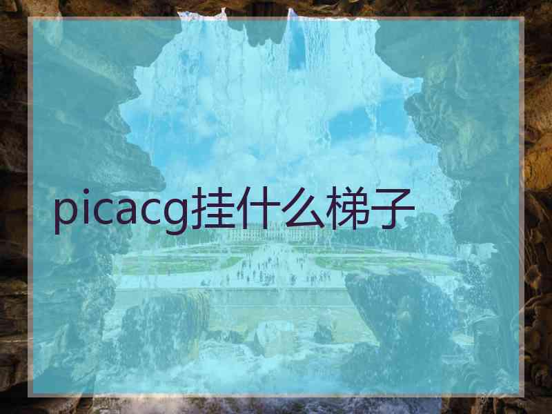 picacg挂什么梯子