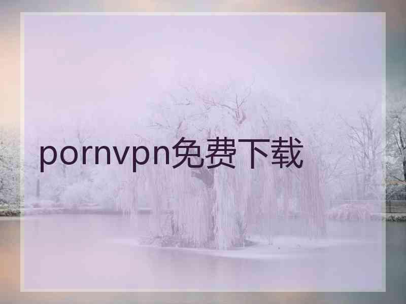 pornvpn免费下载