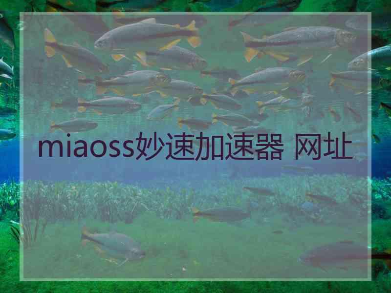 miaoss妙速加速器 网址