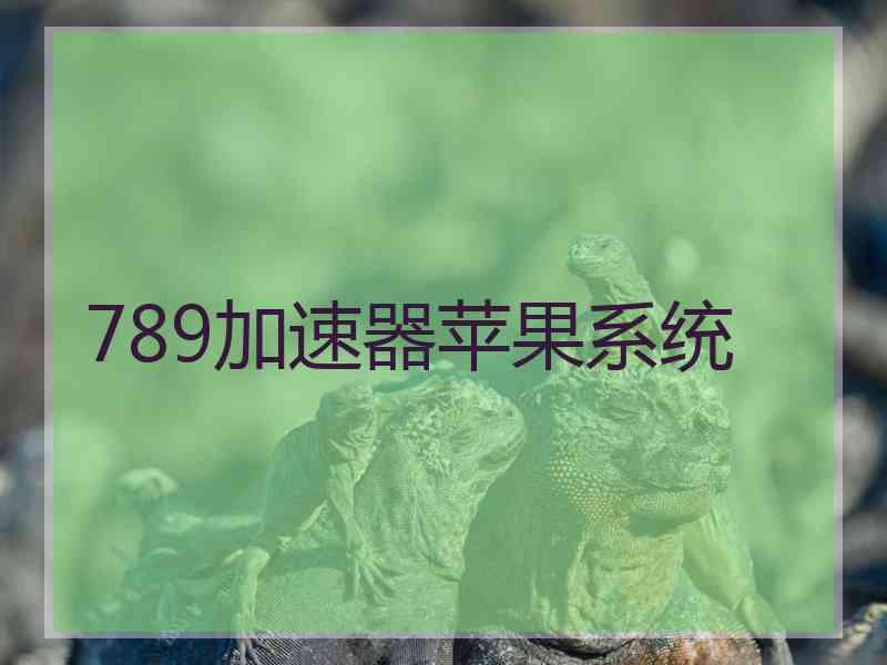 789加速器苹果系统