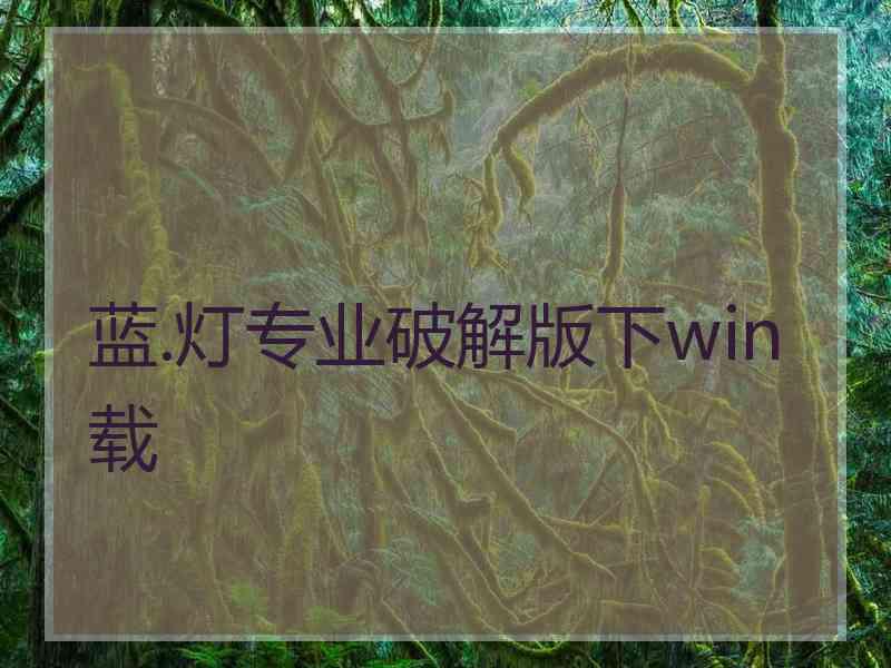 蓝.灯专业破解版下win载