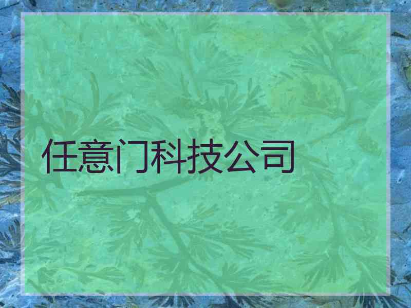 任意门科技公司